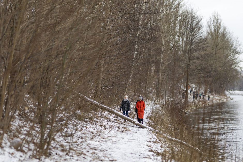 Narai Neryje toliau ieško dingusio 15-mečio, savanoriai buriasi naujoms paieškoms (papildyta)