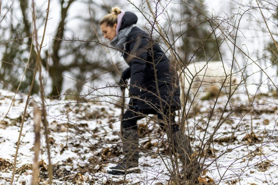 Narai Neryje toliau ieško dingusio 15-mečio, savanoriai buriasi naujoms paieškoms (papildyta)