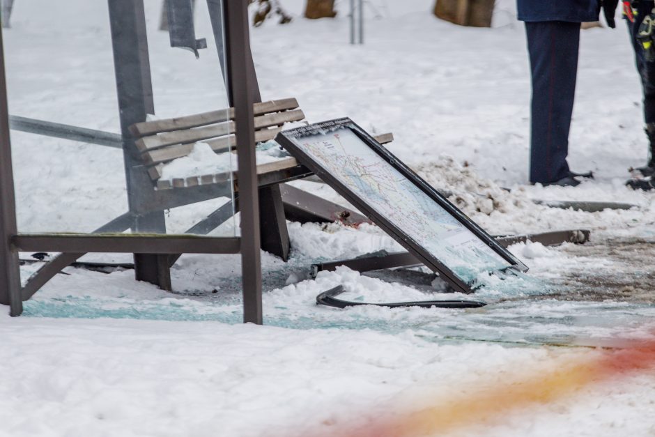 Panemunės tragedijos byloje – iškalbingas Temidės sprendimas