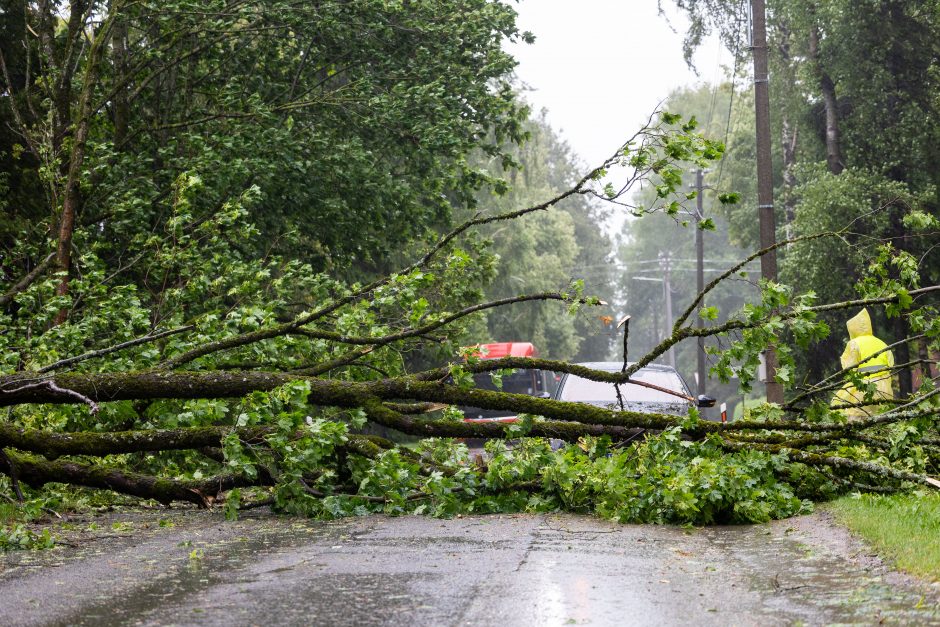 Gyventojai užgulė tarnybas: per valandą – 800 pagalbos skambučių