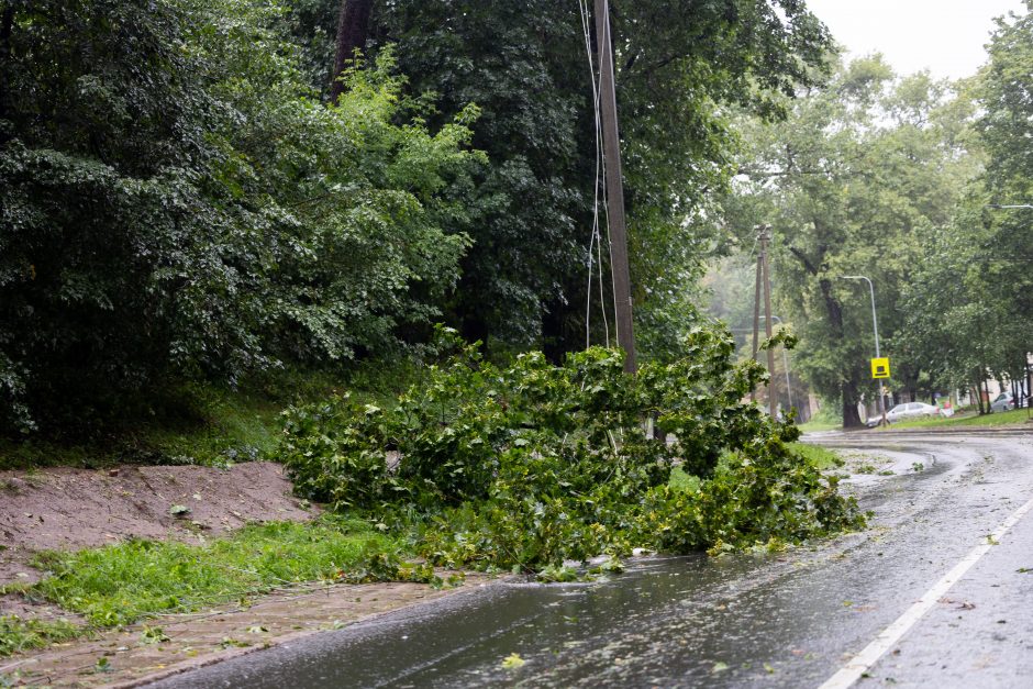 Gyventojai užgulė tarnybas: per valandą – 800 pagalbos skambučių