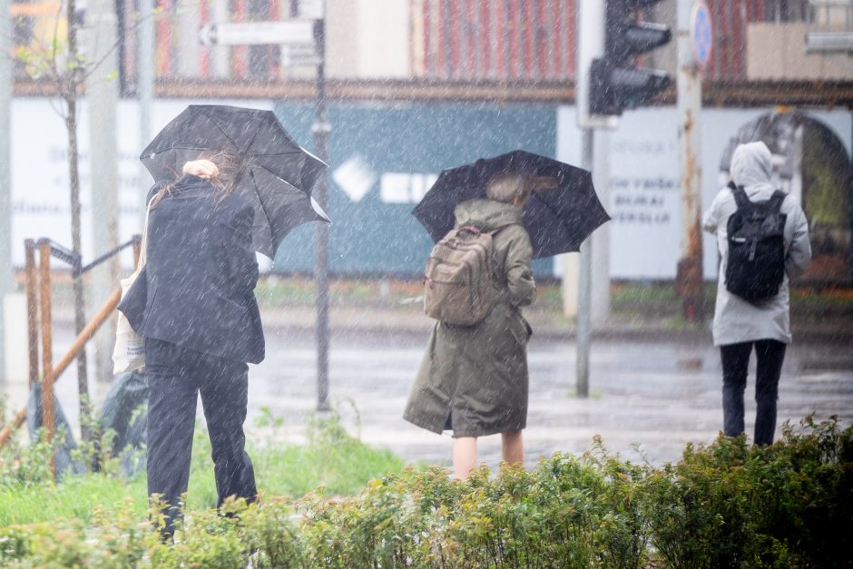 Gyventojai užgulė tarnybas: per valandą – 800 pagalbos skambučių