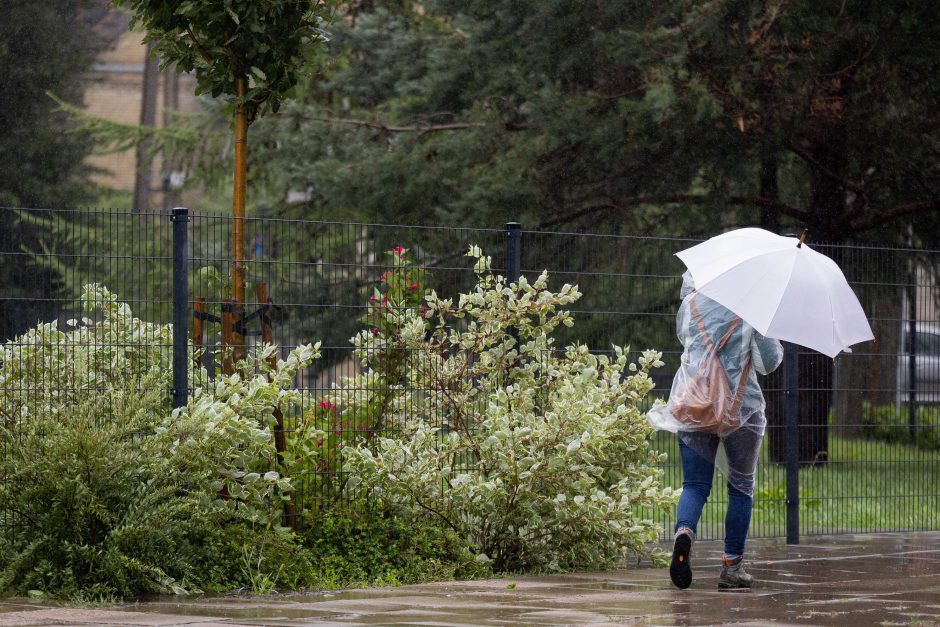 Gyventojai užgulė tarnybas: per valandą – 800 pagalbos skambučių