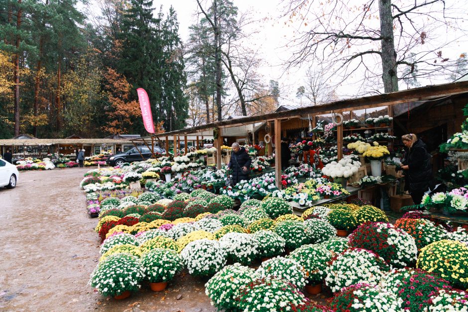 Kauniečiai traukia lankyti kapų: eilės, gėlės ir žvakių gausa