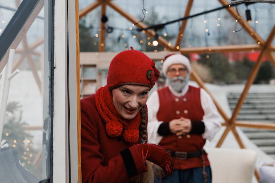 Senelis Kalėda apie šventes Kaune: šiemet elniams buvo sunku nusileisti ant stogų