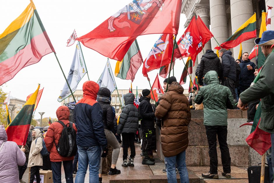 Protestas dėl NT mokesčio: jeigu matysiu, kad iš manęs atima namus, aš juos sudeginsiu