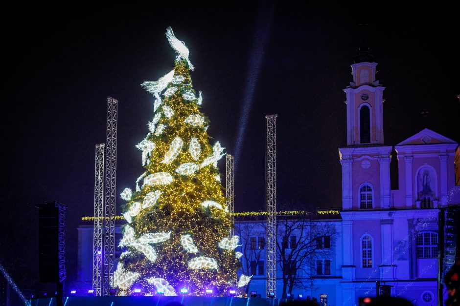 Kaune įspūdingai įžiebta Kalėdų eglė!