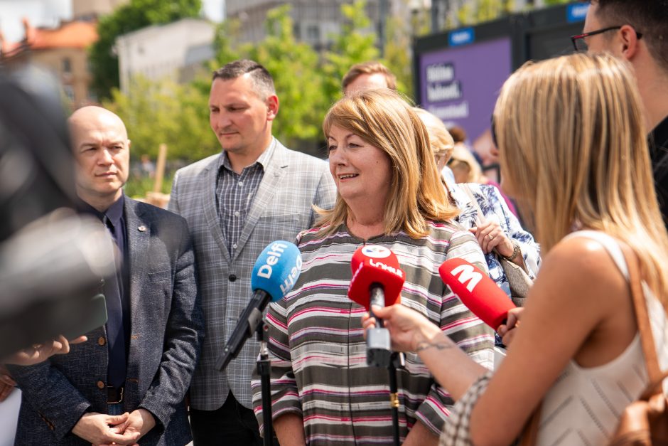 V. Blinkevičiūtė: svarbu, kad EP būtų stiprių tradicinių partijų rankose