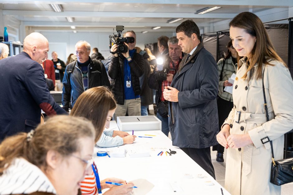 A. Armonaitė: artėjant prie balsadėžių pasirodo tikrasis politikų veidas