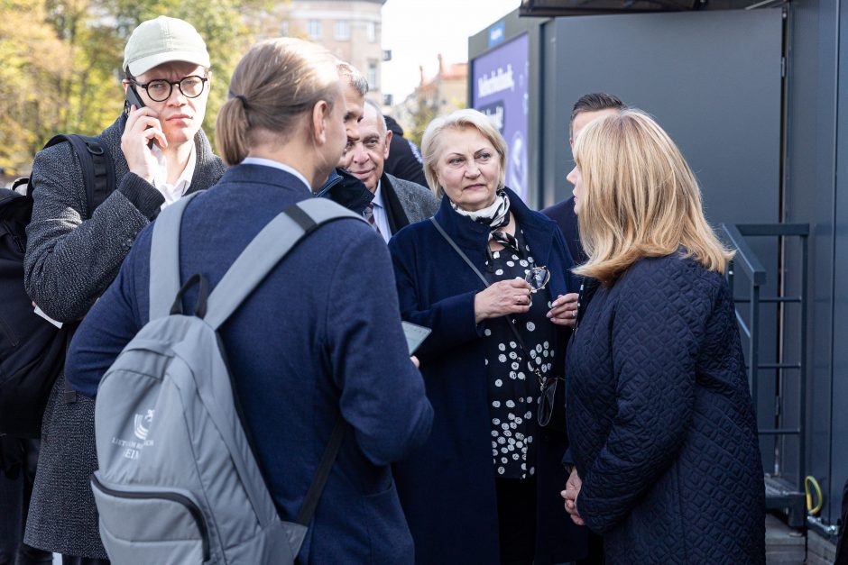 A. Armonaitė: artėjant prie balsadėžių pasirodo tikrasis politikų veidas