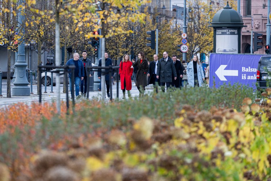 VRK pirmininkė: antrame Seimo rinkimų ture rinkėjų aktyvumas didesnis nei pirmame