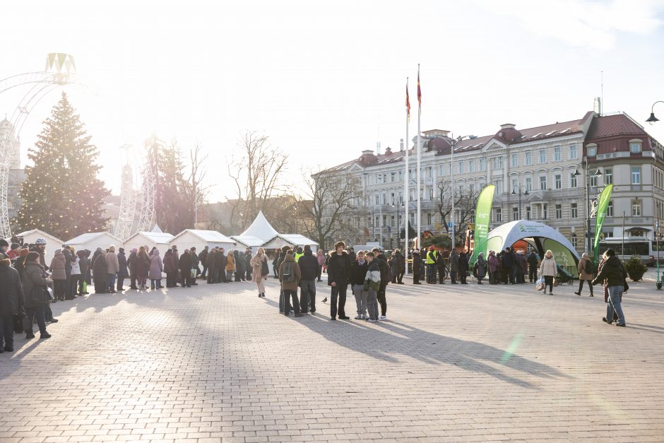 Katedros aikštėje dovanojamos eglių ir pušų šakos