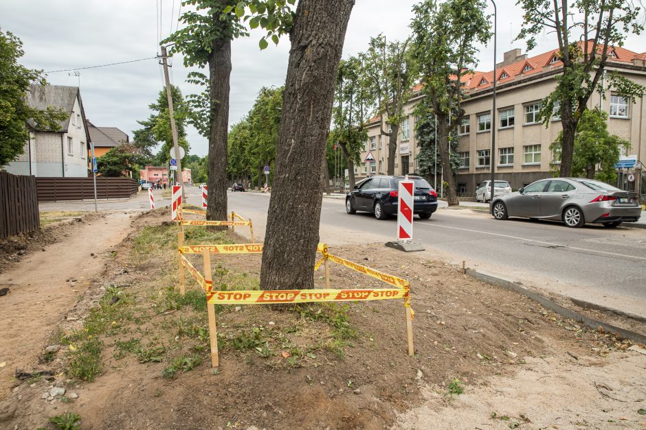 Dėl užsitęsusio gatvės remonto prarado kantrybę: dingo visi meistrai, technika, nevyksta jokių darbų