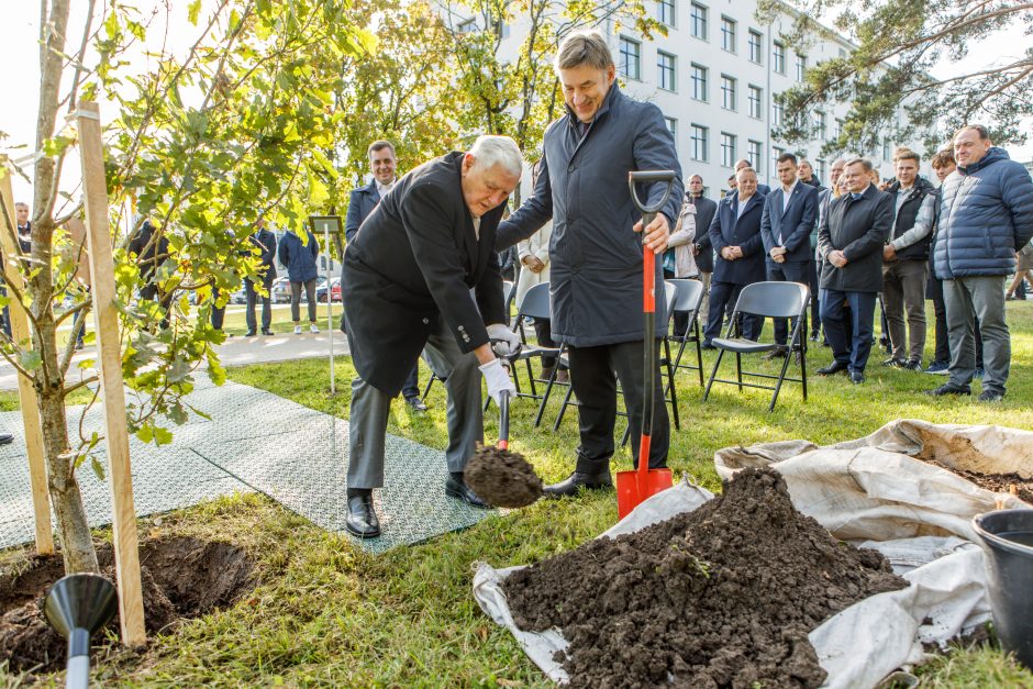 Šalia sporto centro stiebsis V. Adamkaus ąžuolai