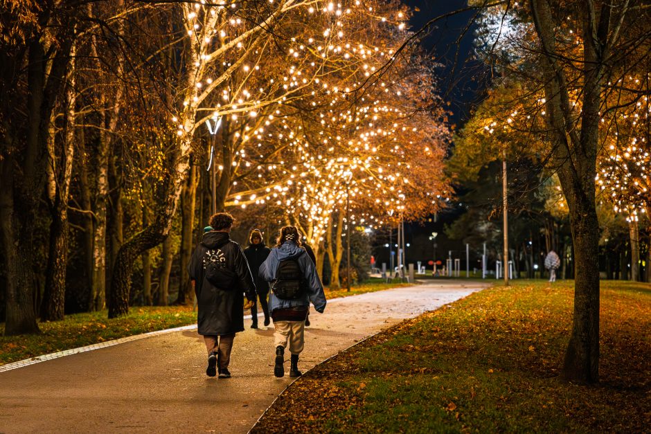 Kalėdiniai Kauno papuošimai jau džiugina praeivius