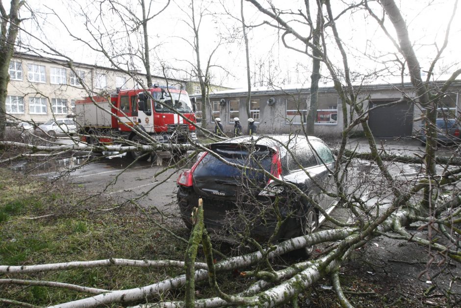 Pajūrio krašte medžiai neatlaikė vėtros