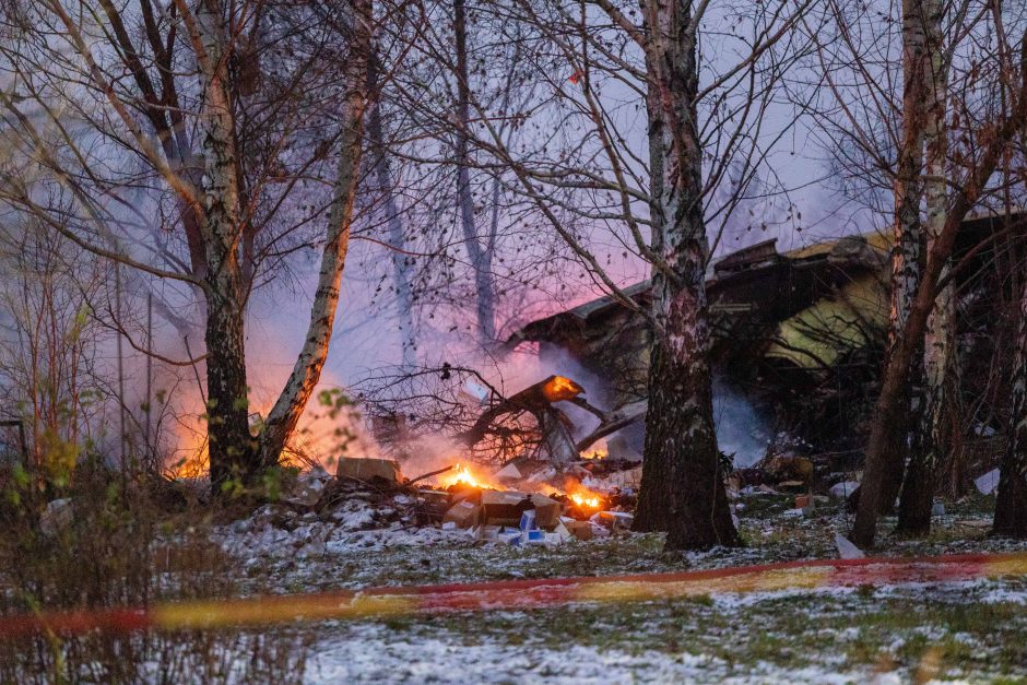 Ekspertas: išorinio poveikio orlaivio avarijai atmesti negalima