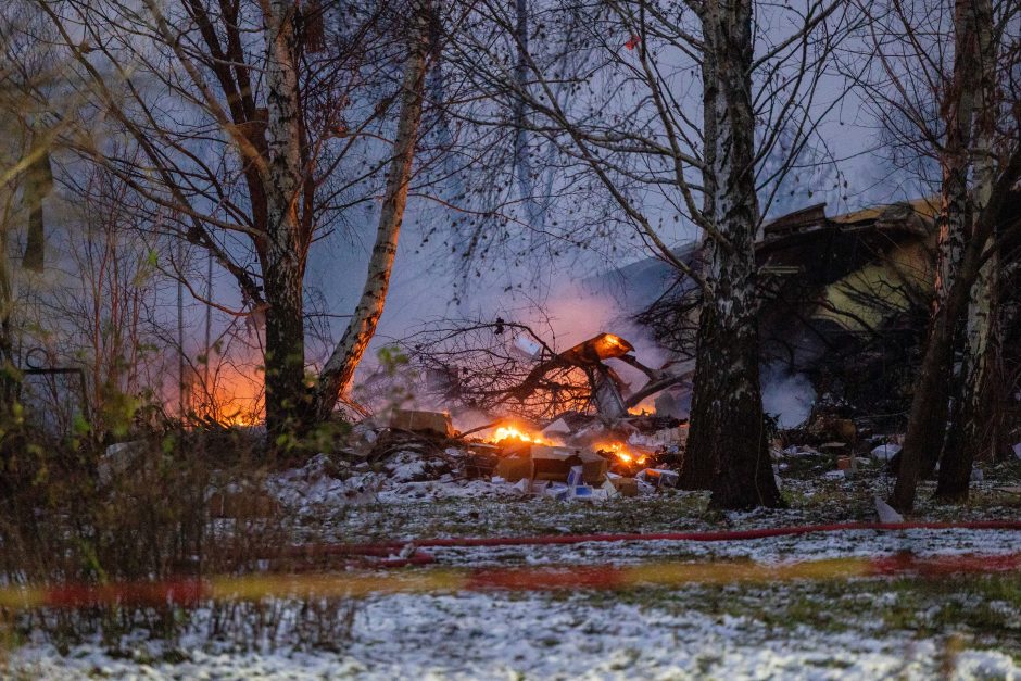 Ekspertas: išorinio poveikio orlaivio avarijai atmesti negalima