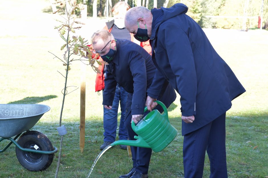 Organų donorystės ir transplantacijos dienai paminėti pasodintas ypatingas ąžuoliukas