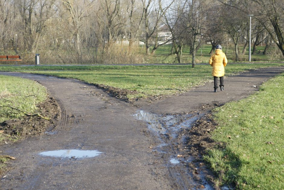 Klaipėdiečiai piktinasi netvarka: parko takus išpurvino tvarkdariai