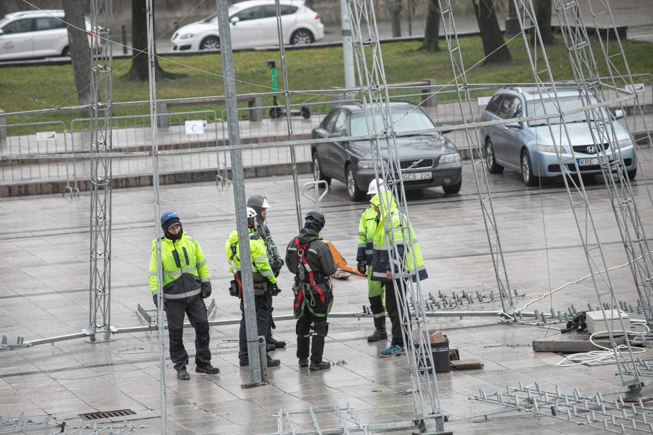 Vilniuje pradėta statyti Kalėdų eglė, papuošimai nušvies ir kitas sostinės centrines dalis