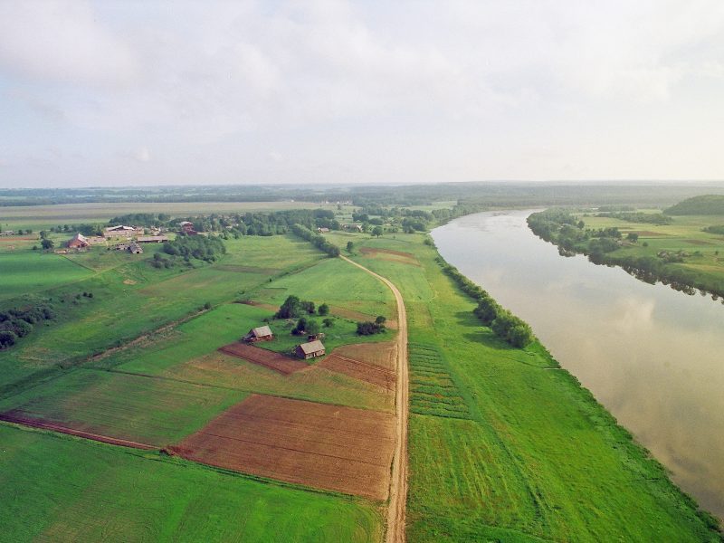 Liko savaitė pasėlius deklaruoti laiku