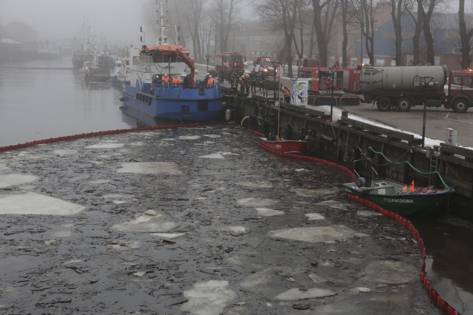 Ugniagesiai nuo ryto pluša užterštoje Danės upėje