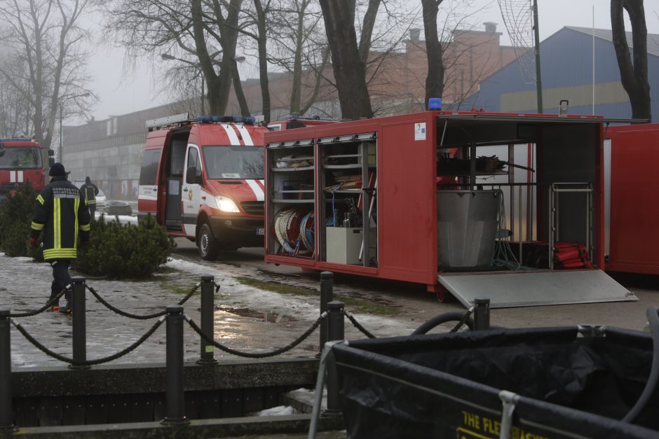 Ugniagesiai nuo ryto pluša užterštoje Danės upėje