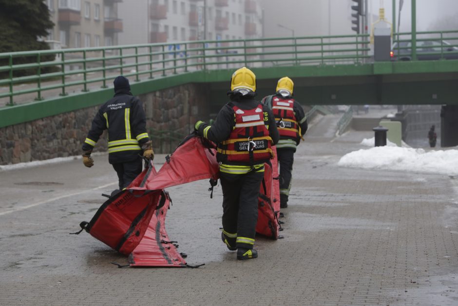 Ugniagesiai nuo ryto pluša užterštoje Danės upėje