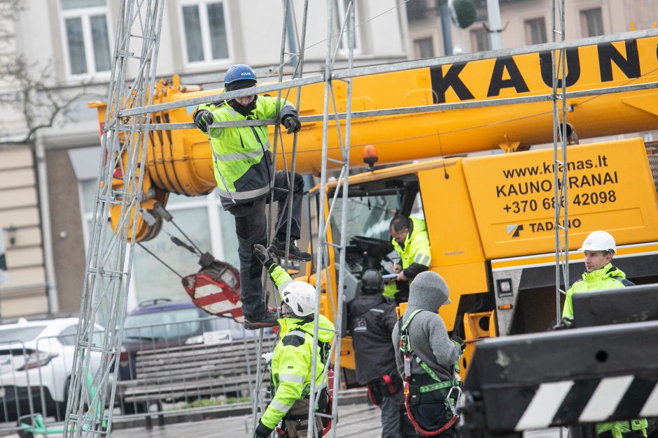 Vilniuje pradėta statyti Kalėdų eglė, papuošimai nušvies ir kitas sostinės centrines dalis