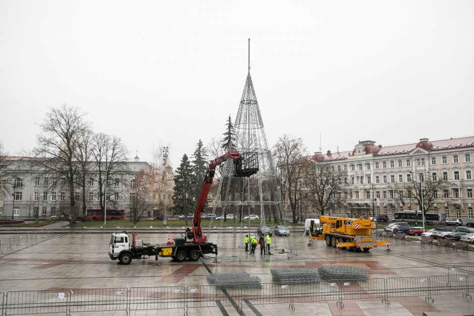 Vilniuje pradėta statyti Kalėdų eglė, papuošimai nušvies ir kitas sostinės centrines dalis