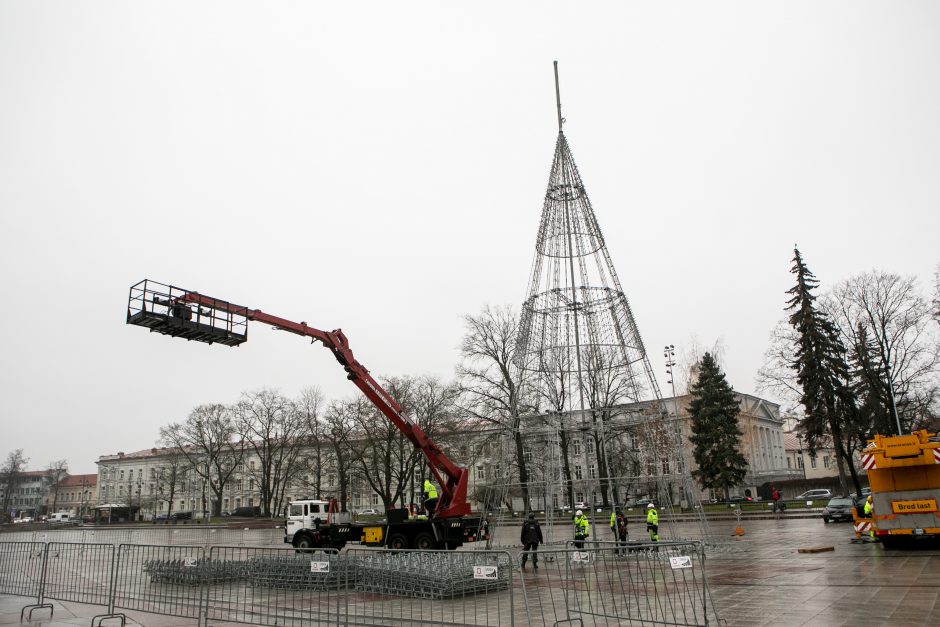 Vilniuje pradėta statyti Kalėdų eglė, papuošimai nušvies ir kitas sostinės centrines dalis