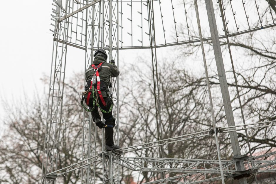 Vilniuje pradėta statyti Kalėdų eglė, papuošimai nušvies ir kitas sostinės centrines dalis