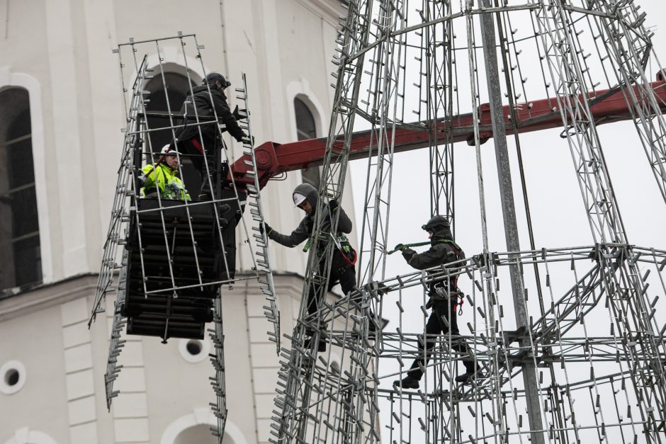 Vilniuje pradėta statyti Kalėdų eglė, papuošimai nušvies ir kitas sostinės centrines dalis