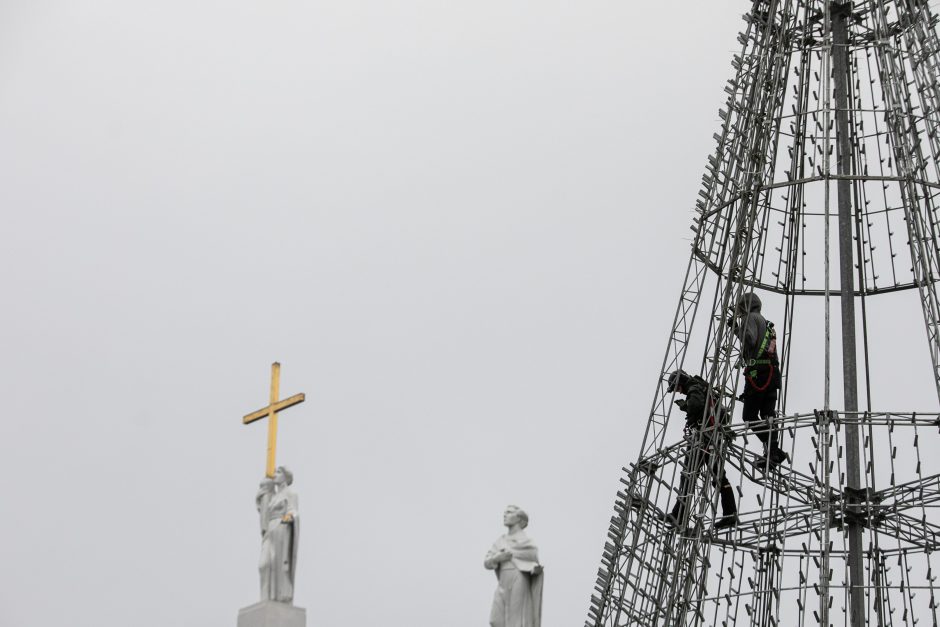 Vilniuje pradėta statyti Kalėdų eglė, papuošimai nušvies ir kitas sostinės centrines dalis