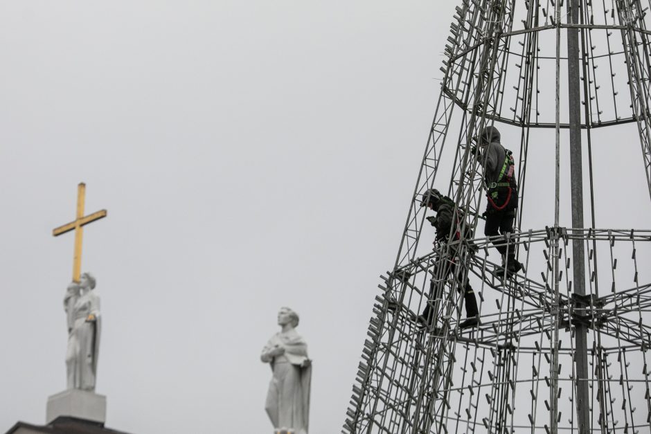 Vilniuje pradėta statyti Kalėdų eglė, papuošimai nušvies ir kitas sostinės centrines dalis