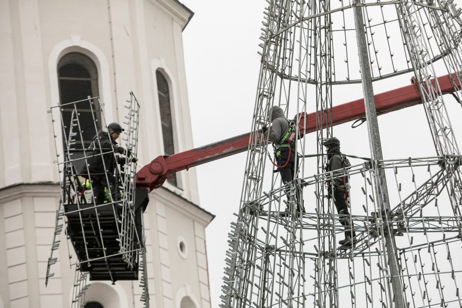 Vilniuje pradėta statyti Kalėdų eglė, papuošimai nušvies ir kitas sostinės centrines dalis