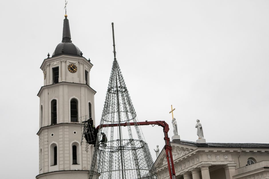 Vilniuje pradėta statyti Kalėdų eglė, papuošimai nušvies ir kitas sostinės centrines dalis