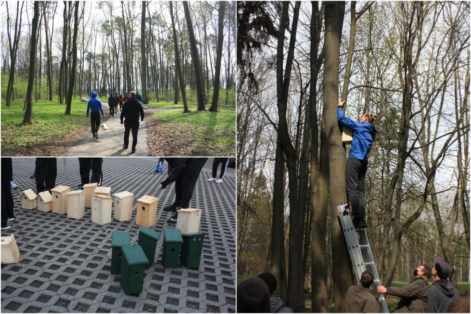 Pažaislio vienuolyno parko paukščiams – dešimtys Pravieniškėse pagamintų inkilų