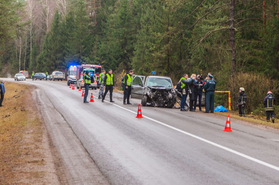 Dėl tragiškos kaktomušos ketinama skirti į visus klausimus atsakysiančią ekspertizę