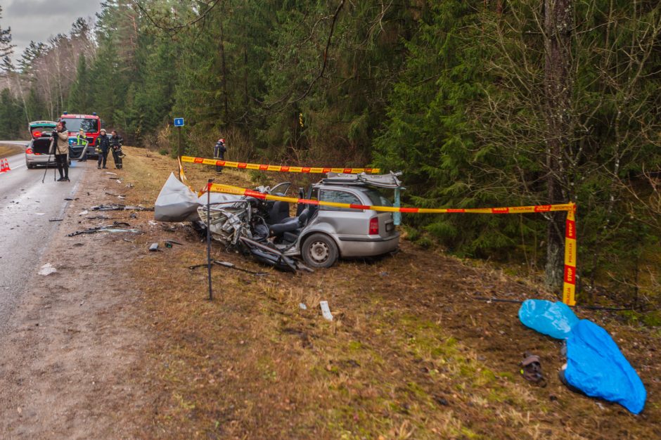 Dėl tragiškos kaktomušos ketinama skirti į visus klausimus atsakysiančią ekspertizę