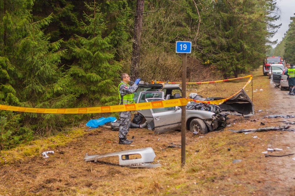 Dėl tragiškos kaktomušos ketinama skirti į visus klausimus atsakysiančią ekspertizę