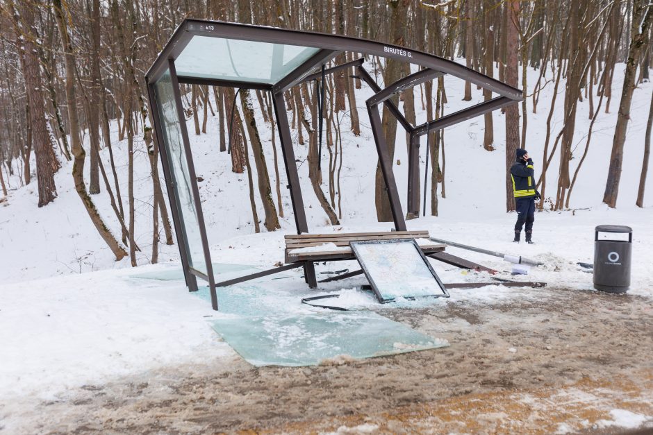 Panemunės tragedijos byloje – iškalbingas Temidės sprendimas