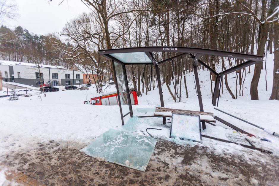 Panemunės tragedijos byloje – iškalbingas Temidės sprendimas