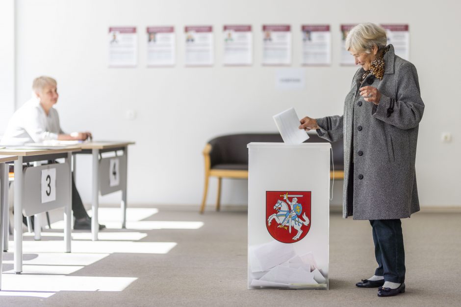 „Baltosios pirštinės“ apie pažeidimus per balsavimą: kliūna ne tik komisijos darbas