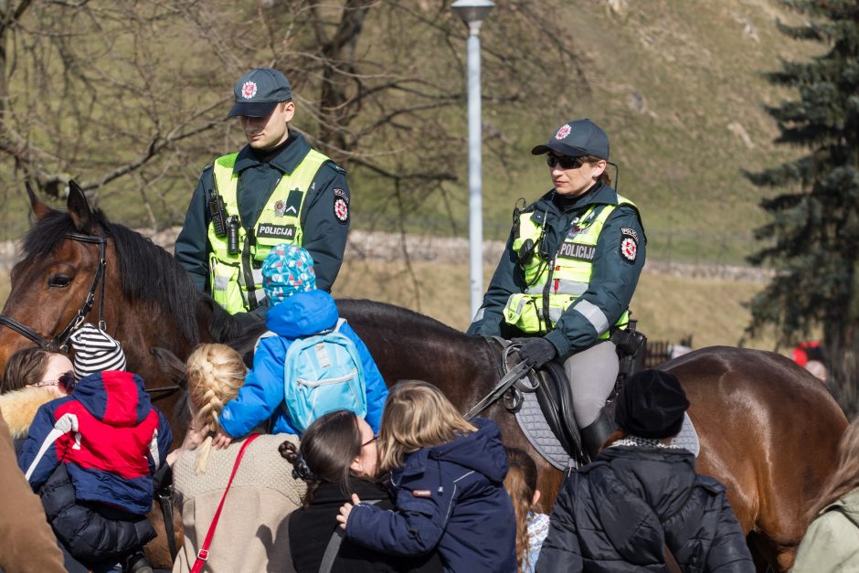 Vilniuje nelieka raitosios policijos: priežastys – dvi