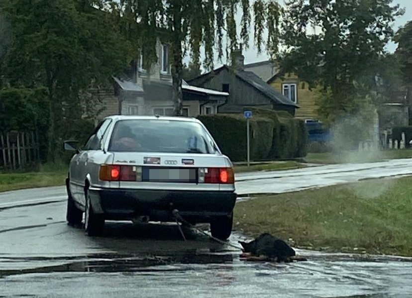 Siaubas Šakiuose: ugniagesys tempė prie automobilio pririštą šunį