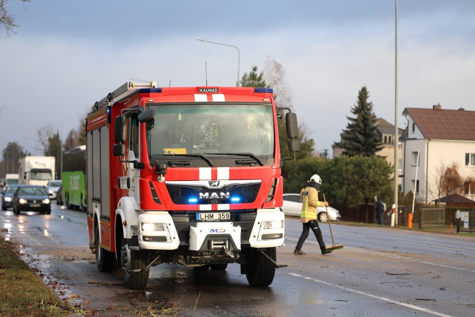 Mieste ir rajone krenta medžiai, gelbėtojams pranešimai plaukia kas minutę