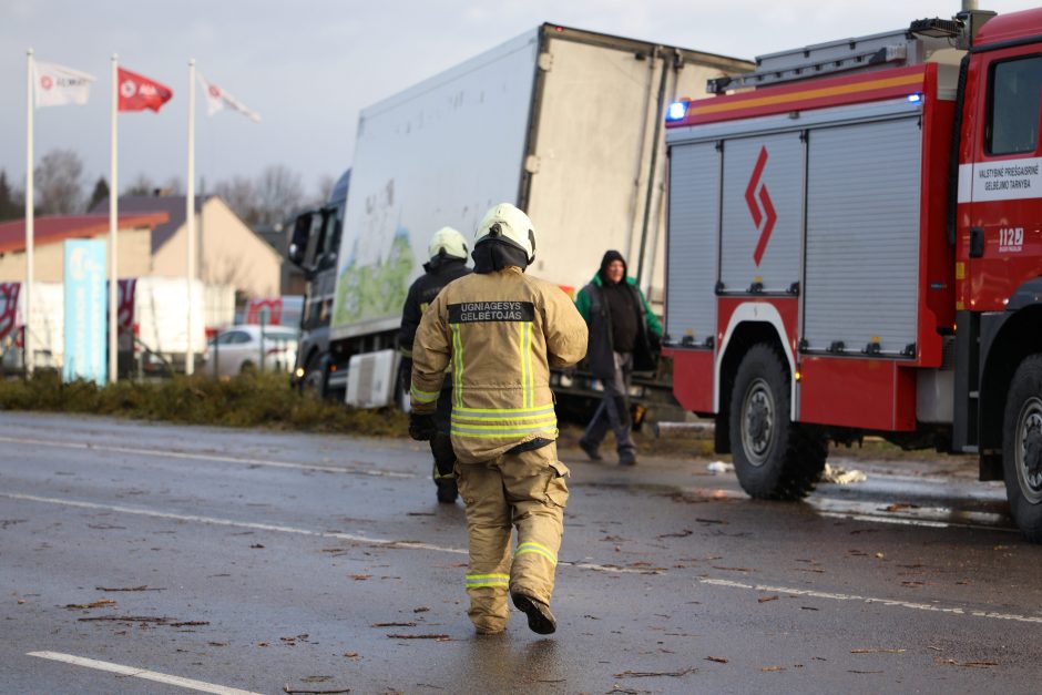 Mieste ir rajone krenta medžiai, gelbėtojams pranešimai plaukia kas minutę