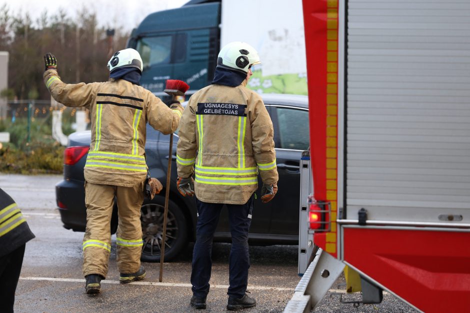 Mieste ir rajone krenta medžiai, gelbėtojams pranešimai plaukia kas minutę